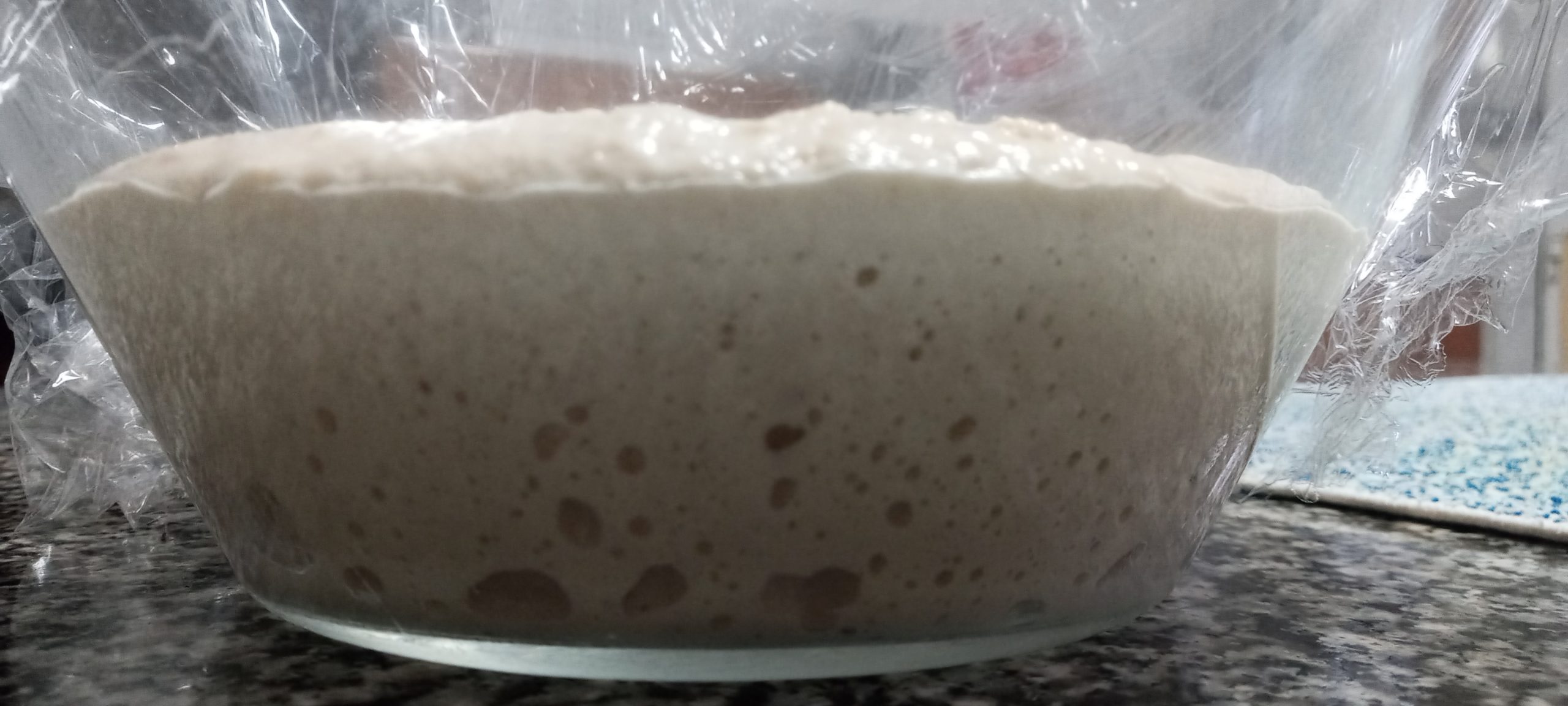 massa mãe Como fica a massa mãe pronta