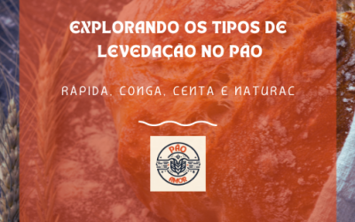 Explorando os Tipos de Levedação no Pão: Rápida, Longa, Lenta e Natural