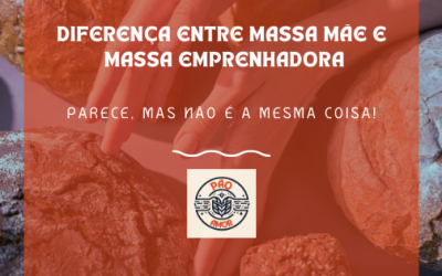 Diferença entre Massa Mãe e Massa Emprenhadora
