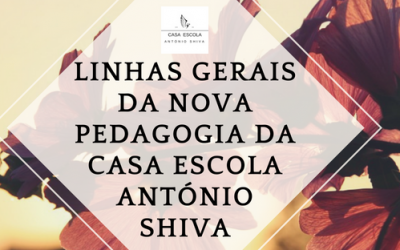 Linhas gerais da nova pedagogia da Casa Escola António Shiva