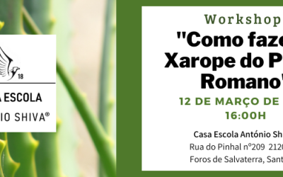 Como fazer o Xarope do Padre Romano? – Workshop
